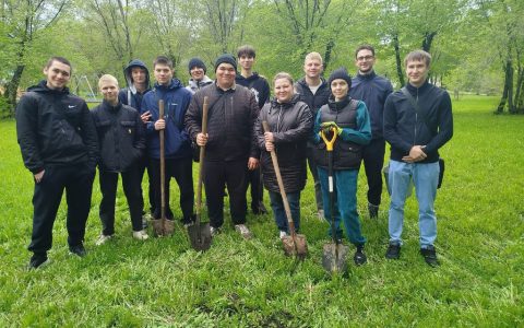 Озеленение Парка «Приморский»